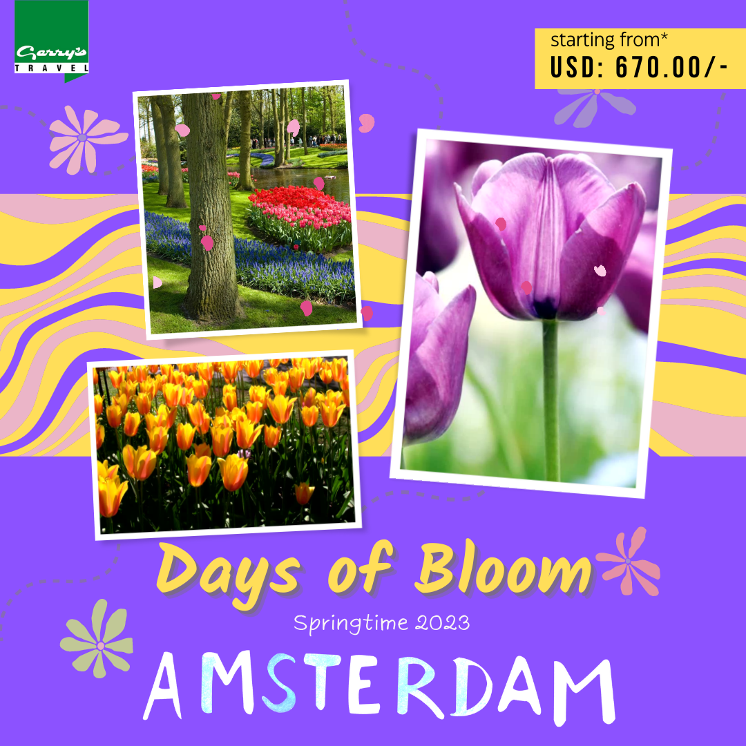 Honeymoon Trip Maldives