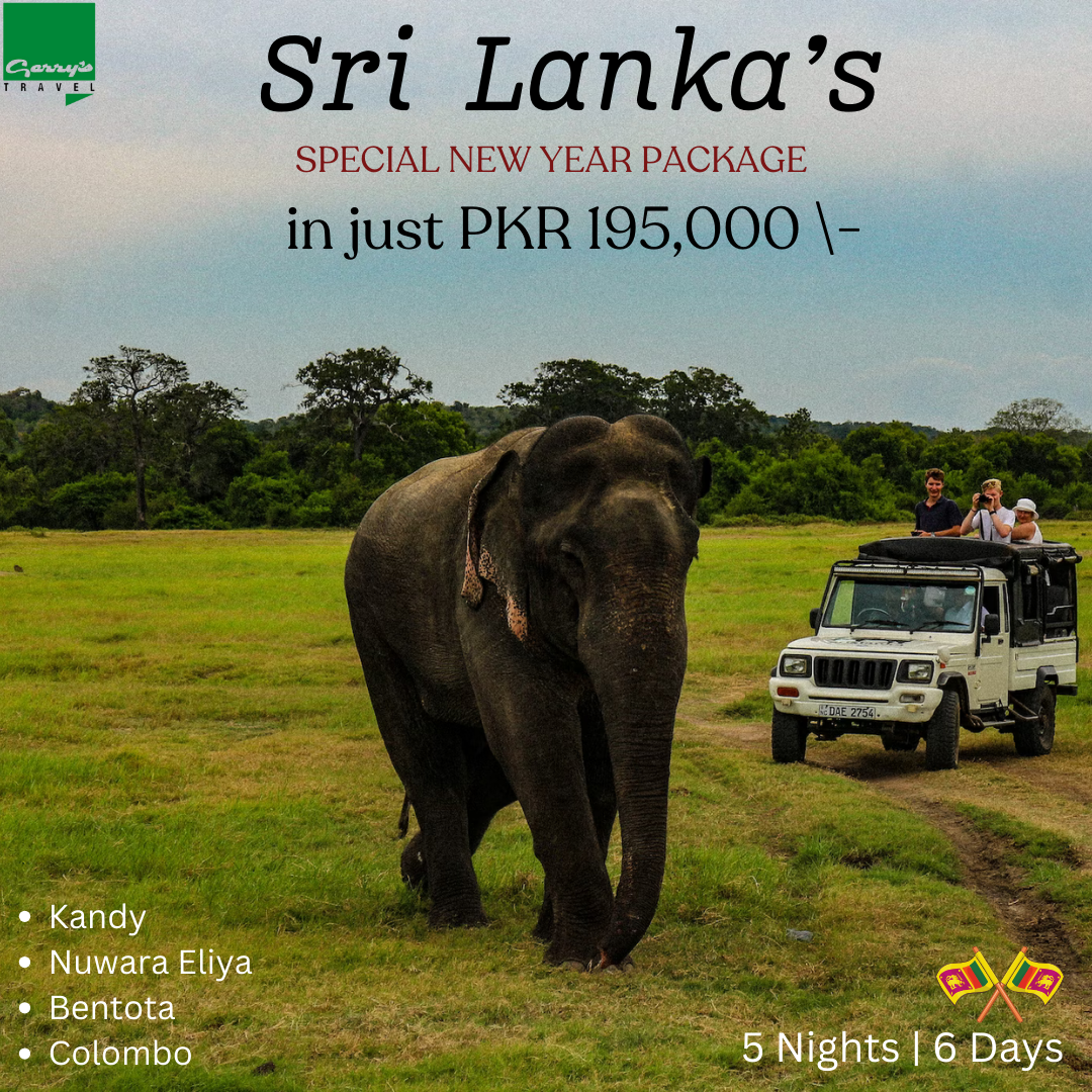 Honeymoon Trip Maldives